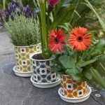 Orla Kiely home sale at Brand Alley