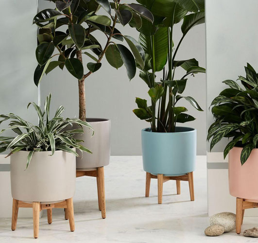 New colours: Mid-Century Turned Leg Standing Planters at West Elm