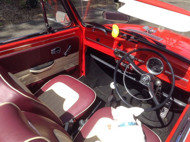 Fully restored 1971 Volkswagen Beetle Karmann convertible