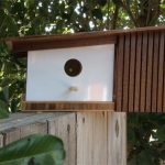 Midcentury modern-inspired birdhouses by Sourgrassbuilt