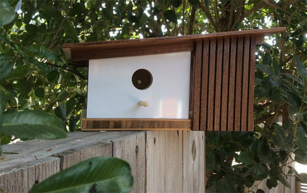 Midcentury modern-inspired birdhouses by Sourgrassbuilt