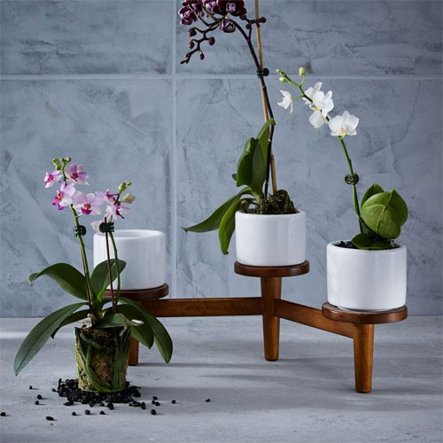 Midcentury turned leg tabletop planter at West Elm