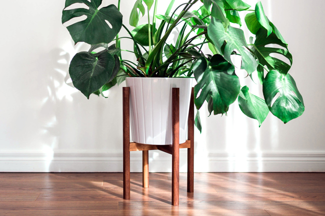 Midcentury-style plant stands by Hook and Stem