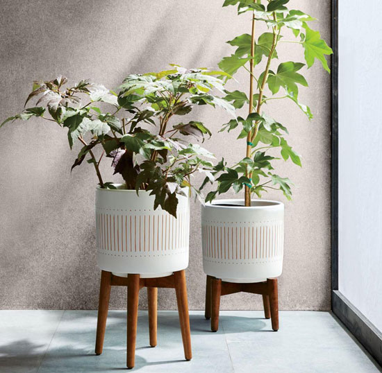 New mid-century turned wood leg planters at West Elm