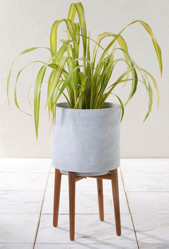 Midcentury-style concrete planters at Next