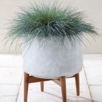 Midcentury-style concrete planters at Next