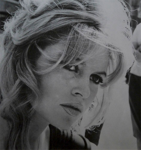 Brigitte Bardot pop art print range by David Studwell
