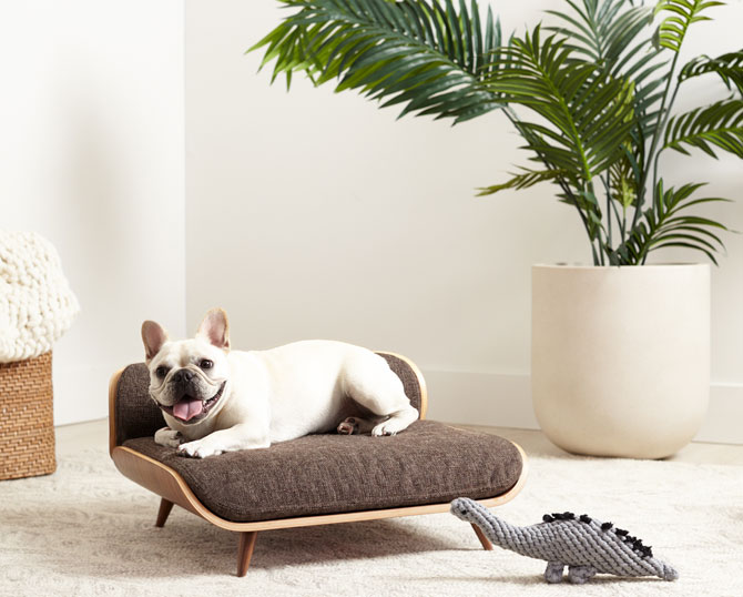 Retro pets: Midcentury dog and cat beds by Cairu Design