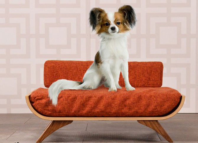 Retro pets: Midcentury dog and cat beds by Cairu Design