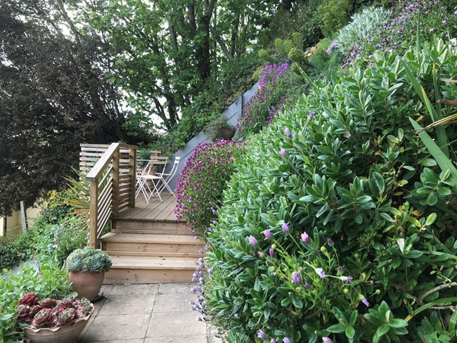 1960s coastal midcentury modern house in Sandgate, Kent