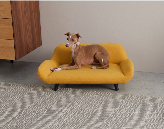 Moby midcentury modern pet sofas at Made