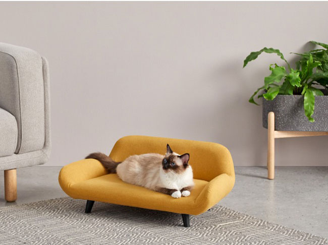 Moby midcentury modern pet sofas at Made