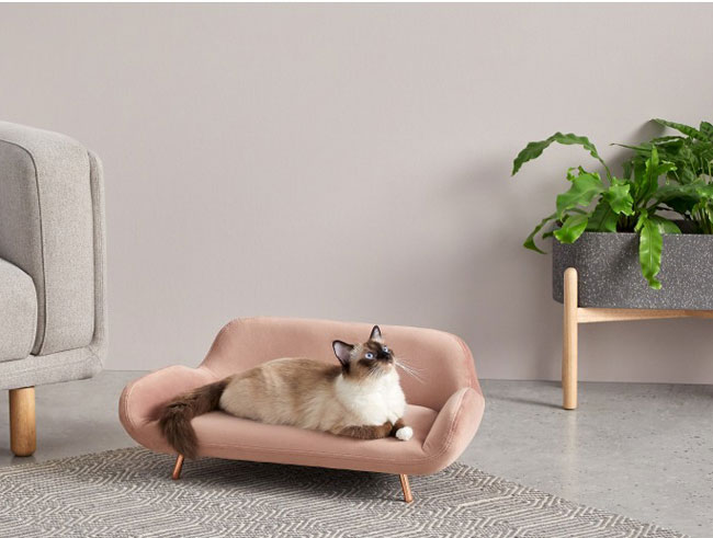 Moby midcentury modern pet sofas at Made