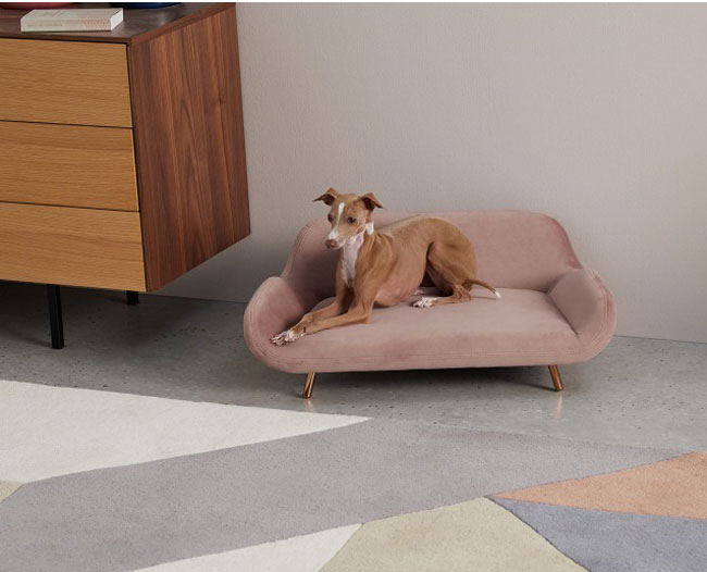 Moby midcentury modern pet sofas at Made