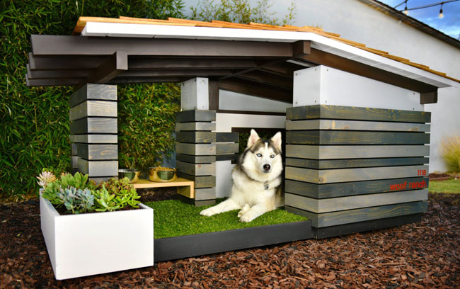 Midcentury modern dog houses by Pijuan Design