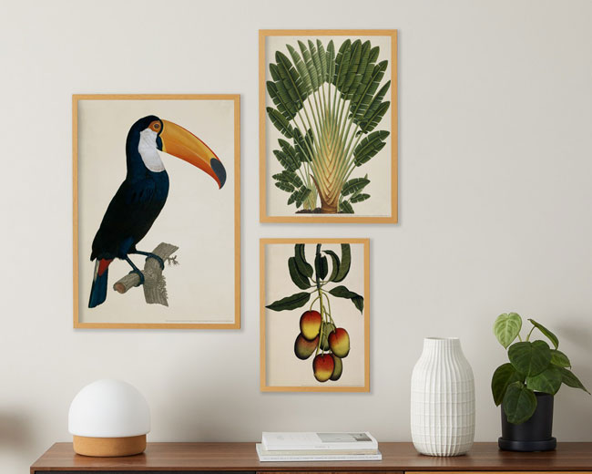 Vintage Natural History Museum print sets at Made