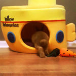 Yellow Submarine cat house by Made For Pets