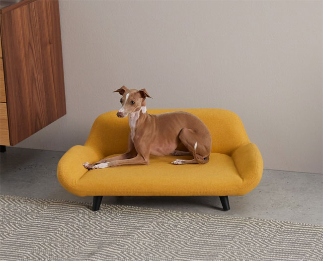 6. Moby midcentury modern pet sofa at Made