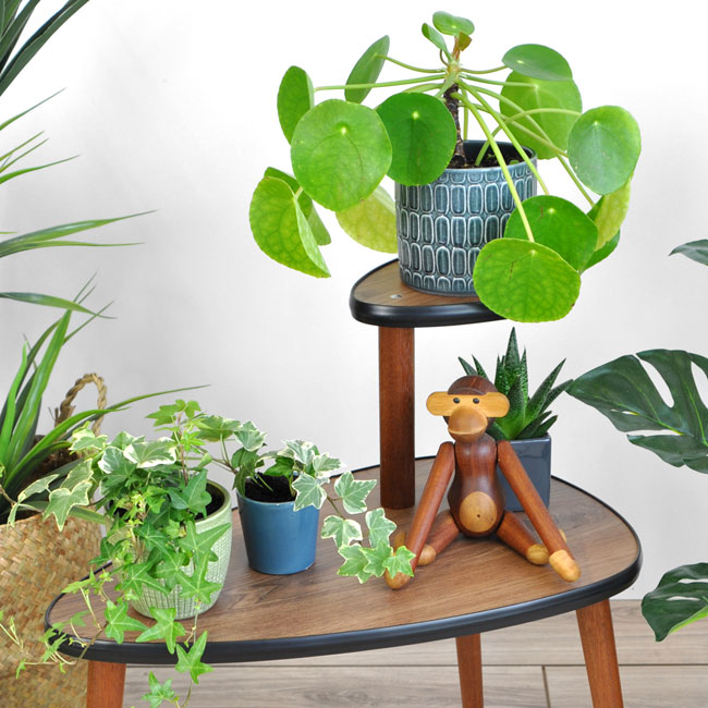 Atomica midcentury modern plant stands